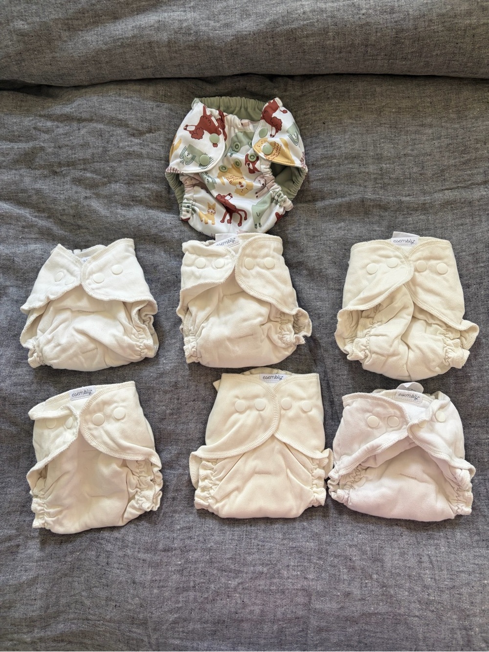 Esembly Size 1 Cloth Diaper Set with Woodland Print Cover
